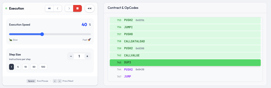 Step-by-step execution view
